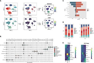 Comparative analysis of single-cell transcriptome reveals heterogeneity and commonality in the immune microenvironment of colorectal cancer and inflammatory bowel disease